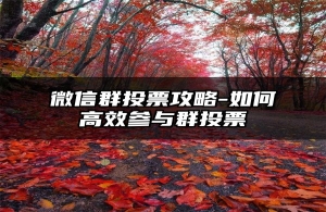 微信群投票攻略-如何高效参与群投票