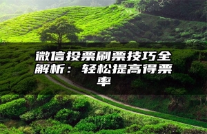 微信投票刷票技巧全解析：轻松提高得票率