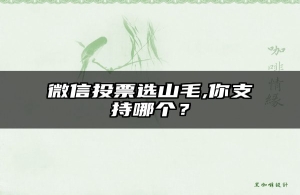 微信投票选山毛,你支持哪个？