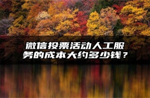 微信投票活动人工服务的成本大约多少钱？