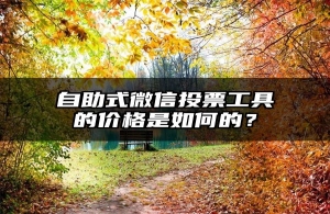 自助式微信投票工具的价格是如何的？
