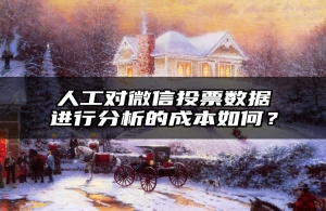 人工对微信投票数据进行分析的成本如何？