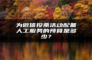 为微信投票活动配备人工服务的预算是多少？