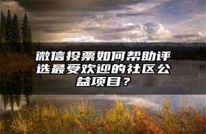 微信投票如何帮助评选最受欢迎的社区公益项目？