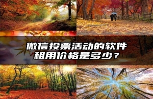 微信投票活动的软件租用价格是多少？