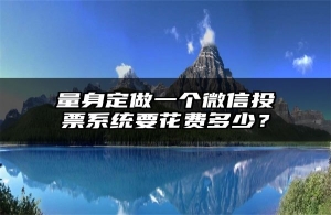 量身定做一个微信投票系统要花费多少？
