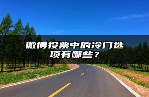 微博投票中的冷门选项有哪些？