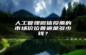 人工管理微信投票的市场价位普遍是多少钱？