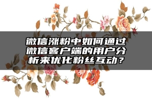 微信涨粉中如何通过微信客户端的用户分析来优化粉丝互动？