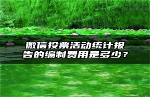 微信投票活动统计报告的编制费用是多少？