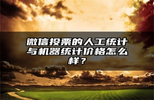 微信投票的人工统计与机器统计价格怎么样？