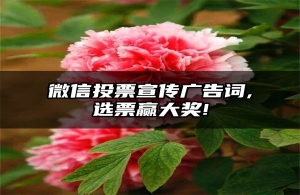 微信投票宣传广告词,选票赢大奖!