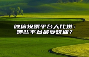 微信投票平台大比拼：哪些平台最受欢迎？