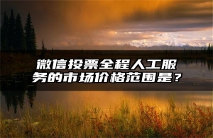 微信投票全程人工服务的市场价格范围是？