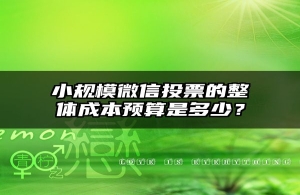 小规模微信投票的整体成本预算是多少？