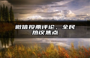 微信投票评论，全民热议焦点