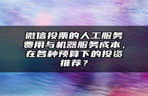 微信投票的人工服务费用与机器服务成本，在各种预算下的投资推荐？