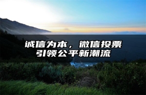 诚信为本，微信投票引领公平新潮流