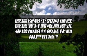 微信涨粉中如何通过微信支付和电商模式来增加粉丝的转化和用户价值？
