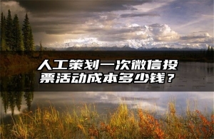 人工策划一次微信投票活动成本多少钱？