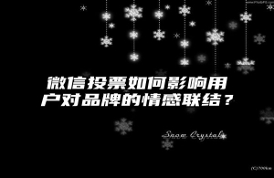 微信投票如何影响用户对品牌的情感联结？