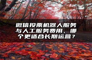 微信投票机器人服务与人工服务费用，哪个更适合长期运营？