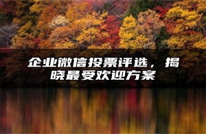 企业微信投票评选，揭晓最受欢迎方案