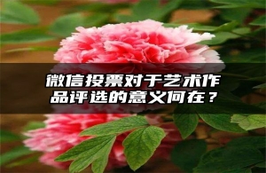 微信投票对于艺术作品评选的意义何在？