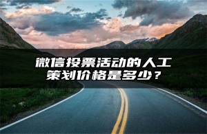 微信投票活动的人工策划价格是多少？