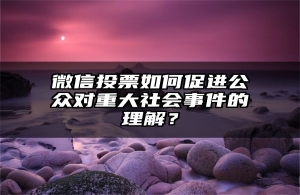 微信投票如何促进公众对重大社会事件的理解？