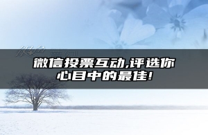 微信投票互动,评选你心目中的最佳!