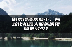 微信投票活动中，自动化机器人服务的预算是多少？