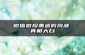 微信微投票造假风波：真相大白