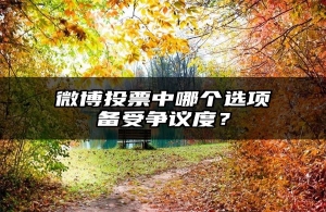 微博投票中哪个选项备受争议度？