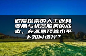 微信投票的人工服务费用与机器服务的成本，在不同预算水平下如何选择？
