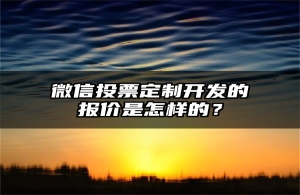 微信投票定制开发的报价是怎样的？