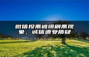 微信投票被曝刷票现象，诚信遭受质疑