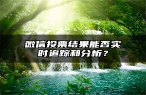 微信投票结果能否实时追踪和分析？