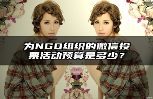 为NGO组织的微信投票活动预算是多少？