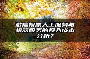 微信投票人工服务与机器服务的投入成本分析？
