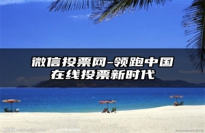 微信投票网-领跑中国在线投票新时代