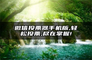 微信投票器手机版,轻松投票,尽在掌握!