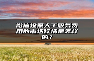 微信投票人工服务费用的市场行情是怎样的？