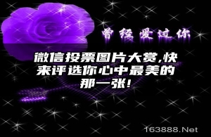 微信投票图片大赏,快来评选你心中最美的那一张!