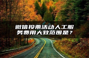 微信投票活动人工服务费用大致范围是？
