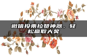 微信投票拉赞神器，轻松赢取大奖