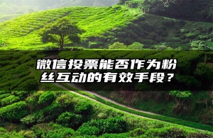 微信投票能否作为粉丝互动的有效手段？