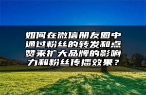 如何在微信朋友圈中通过粉丝的转发和点赞来扩大品牌的影响力和粉丝传播效果？