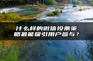什么样的微信投票策略最能吸引用户参与？