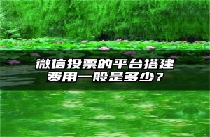 微信投票的平台搭建费用一般是多少？